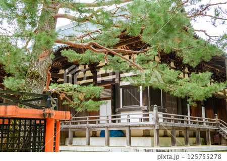 高野山　三鈷の松と金堂　壇上伽藍　和歌山県 125755278