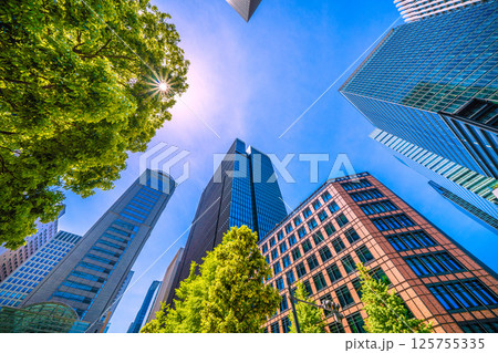 日本の東京都市景観5月。ハロや大手町タワーなど大手町のビジネス街などを望む 日本の東京都市景観5月。ハロや大手町タワーなど大手町のビジネス街などを望む 125755335