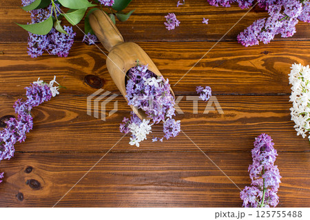 Beautiful spring lilac on wooden background in wooden shovel Beautiful spring lilac on wooden background in wooden shovel 125755488