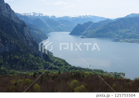 Spring Serenity Over Traunsee, Austria 125755504