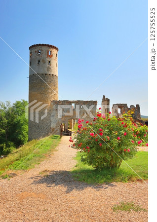 Stony ruins of castle Zviretice in Czech republic 125755525