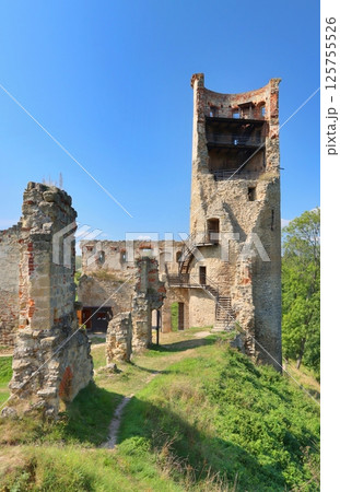 Stony ruins of castle Zviretice in Czech republic Stony ruins of castle Zviretice in Czech republic 125755526