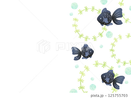 手描き風の可愛い金魚のフレーム 125755703