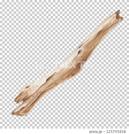 A hand-drawn driftwood on a white background. Watercolor illustration of a brown sea piece of wood. Nature. Isolated. An element for marine design. 125755838