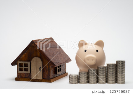 住宅の購入資金もしくは不動産投資 125756087