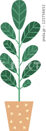 Decorative potted plant featuring large green leaves thriving in a beautifully designed pot, enhancing home decor and infusing indoor spaces with a refreshing touch of nature Decorative potted plant featuring large green leaves thriving in a beautifully designed pot, enhancing home decor and infusing indoor spaces with a refreshing touch of nature 125756652