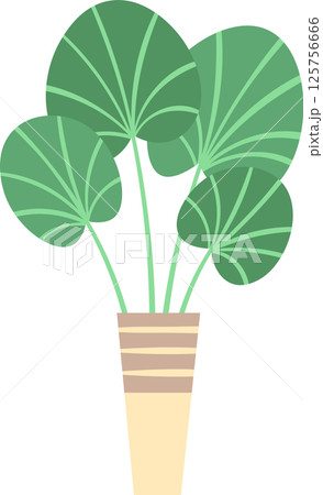 Lush potted plant featuring large, rounded, striped leaves enhances interior spaces, infusing homes with a vibrant, calming atmosphere that embraces natural beauty and tranquility 125756666