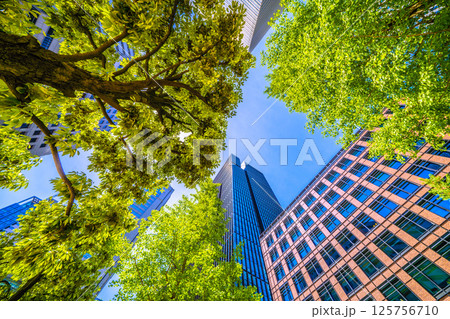 日本の東京都市景観5月。大手町タワーや大手町ビルヂィングなど大手町のオフィス街などを望む 日本の東京都市景観5月。大手町タワーや大手町ビルヂィングなど大手町のオフィス街などを望む 125756710
