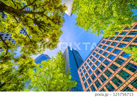 日本の東京都市景観5月。大手町タワーや大手町ビルヂィングなど大手町のオフィス街などを望む 日本の東京都市景観5月。大手町タワーや大手町ビルヂィングなど大手町のオフィス街などを望む 125756713