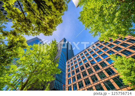 日本の東京都市景観5月。大手町タワーや大手町ビルヂィングなど大手町のオフィス街などを望む 日本の東京都市景観5月。大手町タワーや大手町ビルヂィングなど大手町のオフィス街などを望む 125756714