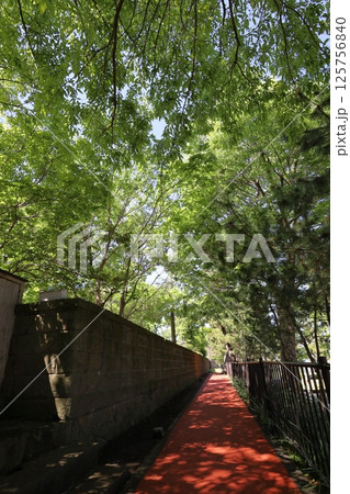 大磯記念邸園 大磯記念邸園 125756840