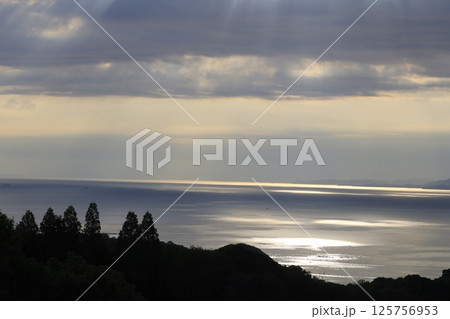 日本のエーゲ海 オリーブ園からの瀬戸内海 日本のエーゲ海 オリーブ園からの瀬戸内海 125756953