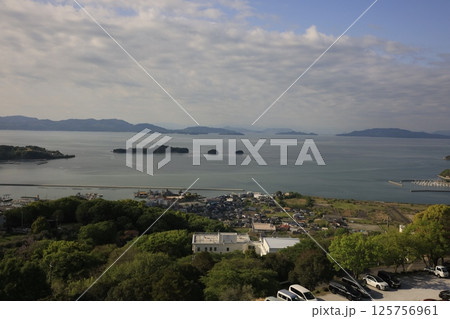 日本のエーゲ海 オリーブ園からの瀬戸内海 日本のエーゲ海 オリーブ園からの瀬戸内海 125756961