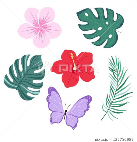tropical plants set, flat style 125756985