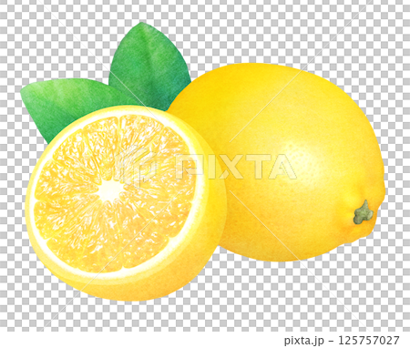 新鮮檸檬和葉子的手繪插畫_水彩_整個和切片檸檬_柑橘類水果 新鮮檸檬和葉子的手繪插畫_水彩_整個和切片檸檬_柑橘類水果 125757027