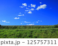 真夏に撮影した堤防道路法面の緑草と大空の風景 125757311