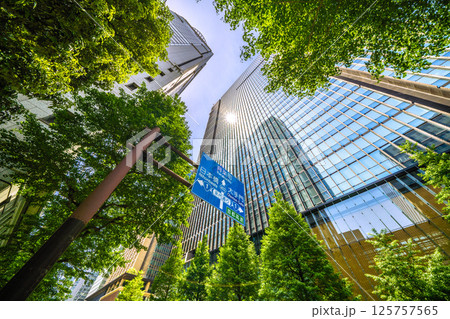 日本の東京都市景観 大成大手町ビル(旧大手町野村ビル)や大手町タワーなど大手町のビジネス街などを望む 日本の東京都市景観 大成大手町ビル(旧大手町野村ビル)や大手町タワーなど大手町のビジネス街などを望む 125757565