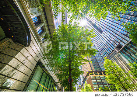 日本の東京都市景観 大成大手町ビル(旧大手町野村ビル)や大手町タワーなど大手町のビジネス街などを望む 日本の東京都市景観 大成大手町ビル(旧大手町野村ビル)や大手町タワーなど大手町のビジネス街などを望む 125757566