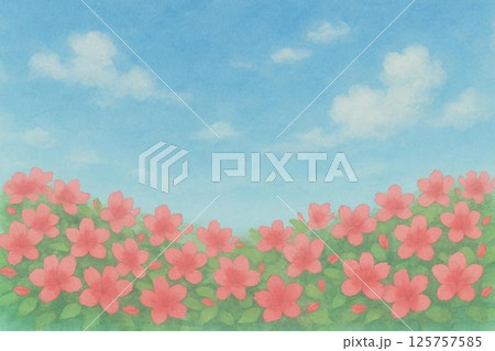 ツツジと青空 ツツジと青空 125757585
