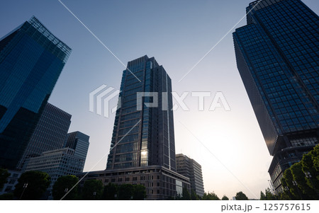 東京都心の巨大ビル 125757615