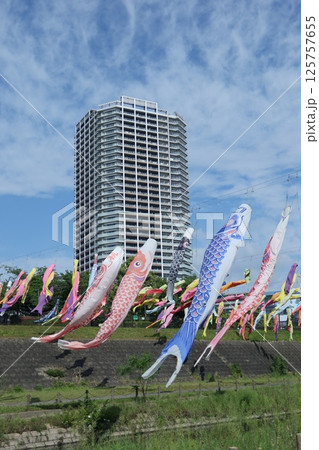 青空に泳ぐ鯉のぼり 青空に泳ぐ鯉のぼり 125757655