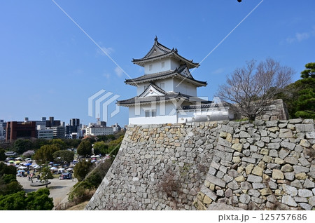 巽櫓と石垣(明石城) 巽櫓と石垣(明石城) 125757686