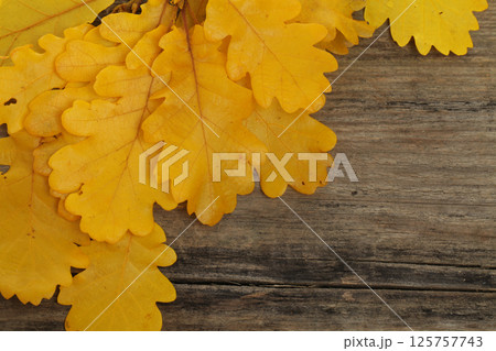 Autumn leaves border on old wooden background 125757743
