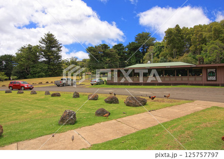 カウアイ　コケエ州立公園 125757797