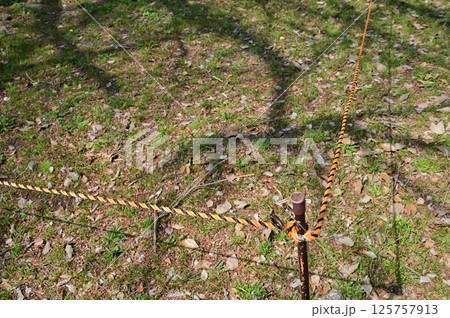 トラロープと立入禁止の縄張り 125757913