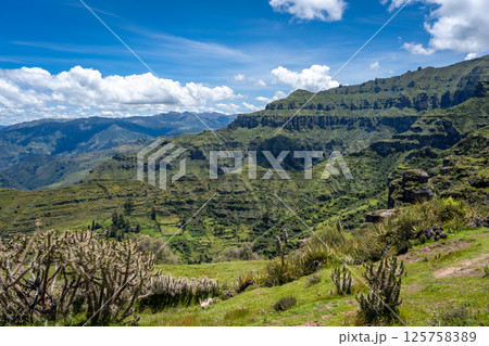 Rugged Rock Formations in the Andean Mountains at Waqrapukara, Peru 125758389