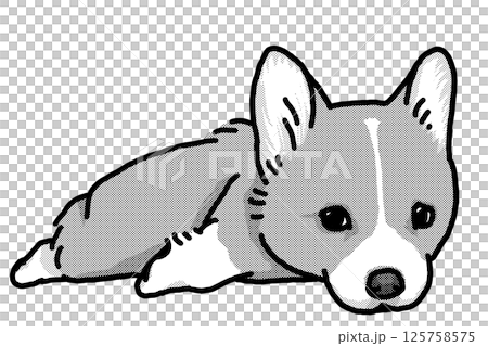 柯基犬小狗插畫 125758575