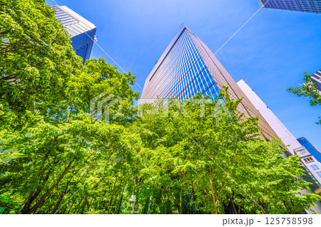 日本の東京都市景観 大手町の森や大手町タワーなどを望む 125758598