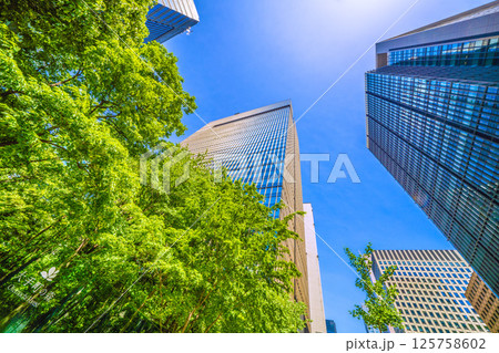 日本の東京都市景観 大手町の森や大手町タワーなどを望む 125758602