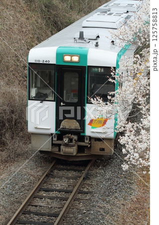 梅が満開のJR気仙沼線 梅が満開のJR気仙沼線 125758813