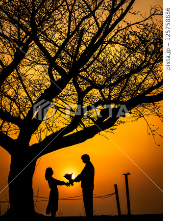 夕暮れの木の下の夕暮れの木の下のカップル 告白 花束 婚約 結婚式 夕暮れの木の下の夕暮れの木の下のカップル 告白 花束 婚約 結婚式 125758886