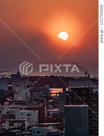 夕暮れの木の下の女性　告白　花束　婚約　結婚式 125758888