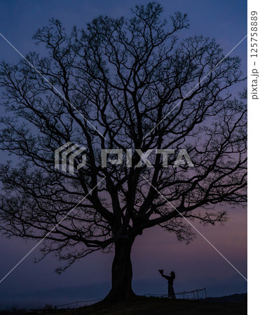 夕暮れの木の下の女性 告白 花束 婚約 結婚式 夕暮れの木の下の女性 告白 花束 婚約 結婚式 125758889