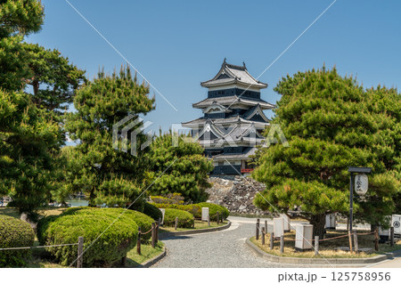 松本城公園の風景 松本城公園の風景 125758956