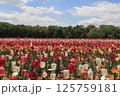 広島世羅高原農場のチューリップ畑 125759181