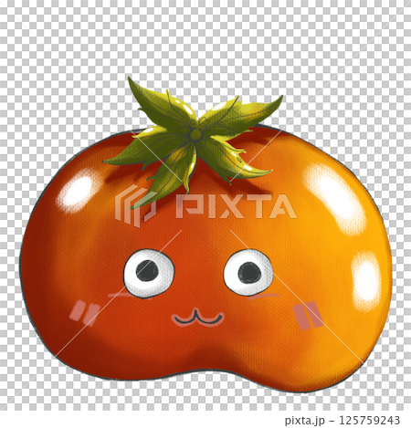 Tomato Tomato 125759243