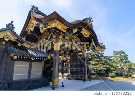 京都 春の二条城 唐門と桜 (京都府京都市中京区) 125759259