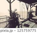 海辺のブランコと南国の影 / Swing by the Seaside Shade 125759775