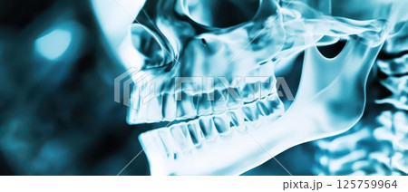 Detailed view of human skull in medical imaging Detailed view of human skull in medical imaging 125759964