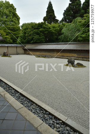 世界遺産龍安寺　石庭(京都市右京区) 125759977