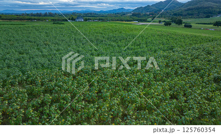 Aerial view of A beautiful view of a long, colorful mountain range 125760354