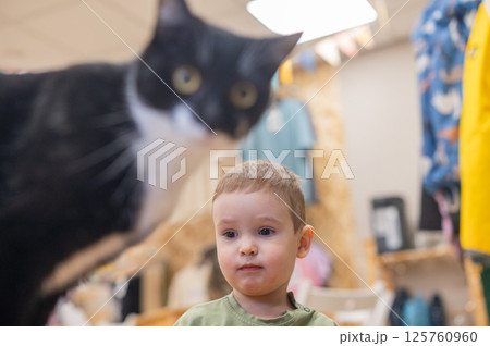 Caucasian little boy in a cat cafe. Caucasian little boy in a cat cafe. 125760960