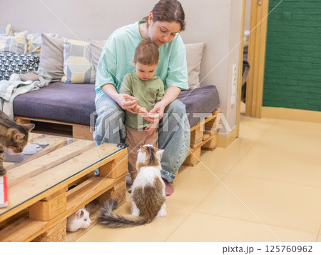 Caucasian woman with her son in a cat cafe.  125760962