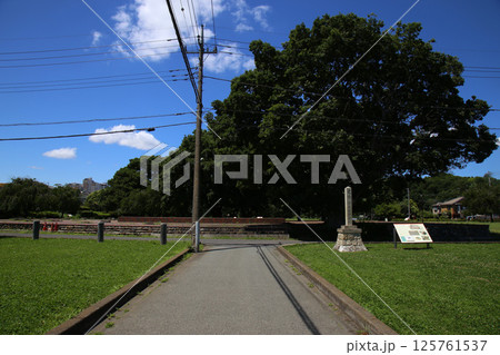 武蔵国分寺跡 武蔵国分寺跡 125761537