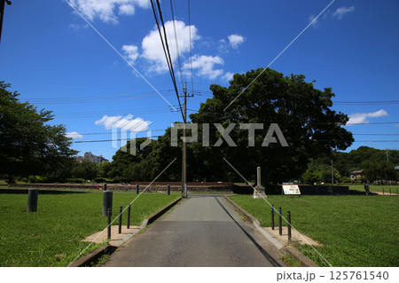 武蔵国分寺跡 武蔵国分寺跡 125761540