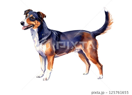 白バックにリアルな犬のイラスト 125761655
